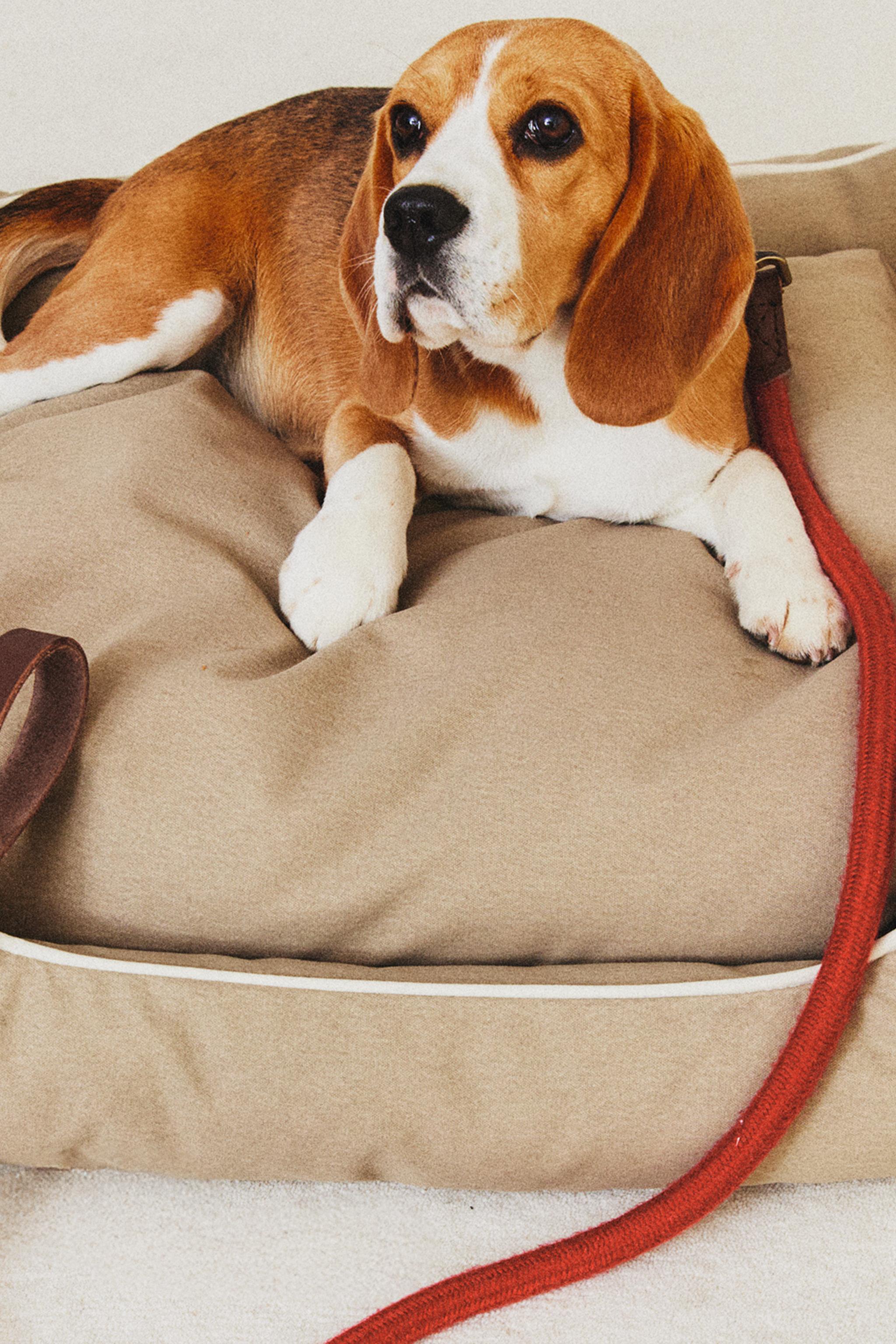 PET BED WITH PIPING